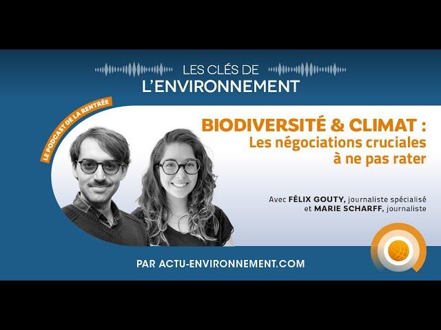 Biodiversité & Climat : les négociations cruciales à ne pas rater - Les Clés de l'Environnement