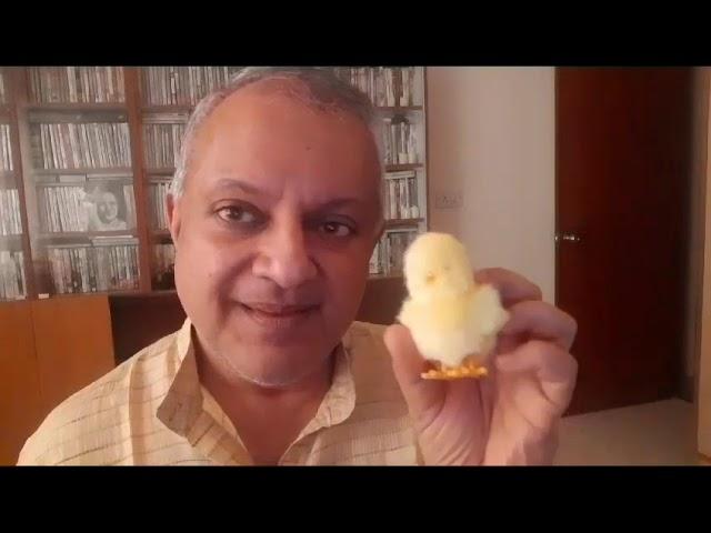 Prince Rama Varma  - Madhura Madhura - Bhajan (Cute Duet with Mini Chicken)