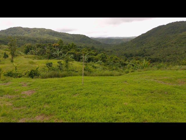 #vlog75 ( SOLD NA PO ) 17.5 HECTARES FARM LOT            120/SQM