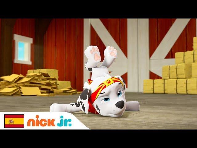 Pup Fu  Vs. Cat Jitsu  | PAW Patrol | Nick Jr.