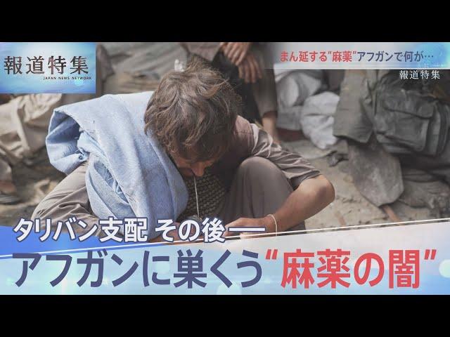 アフガン「麻薬の闇」の実態【報道特集】｜TBS NEWS DIG