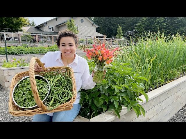 First HUGE Harvest and Preservation Day of the Season!