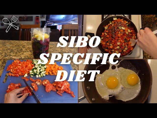 what I (have to) eat in a day (2021) | SIBO Specific Diet