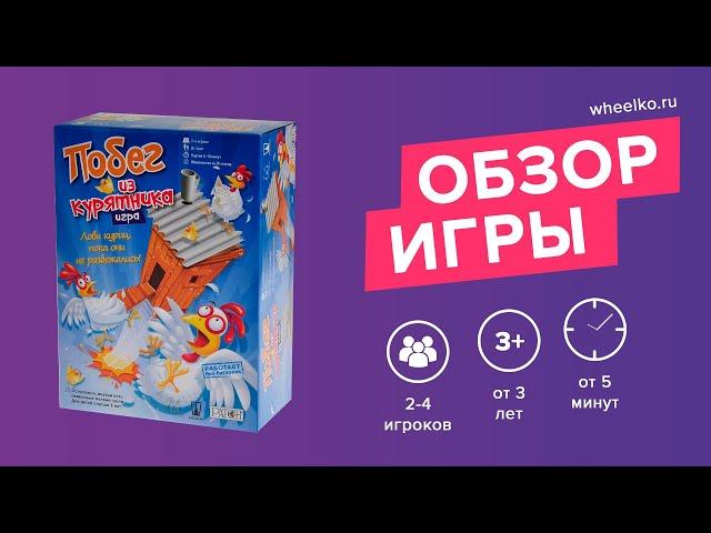 Настольная игра "Побег из курятника" - краткий обзор от магазина Wheelko
