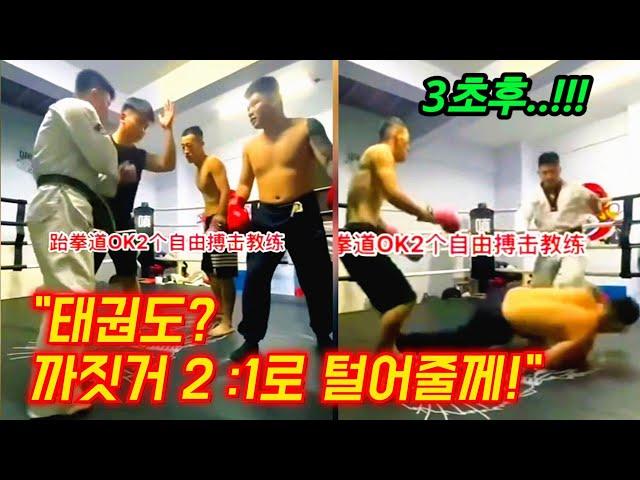 Professional fighter vs Chinese martial arts master