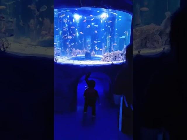 Jakarta Aquarium