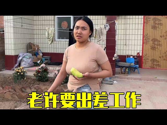 老许要去烟台工作，这次不带着老婆和孩子，你们觉得这次老婆会同意么？【老许的老挝媳妇】