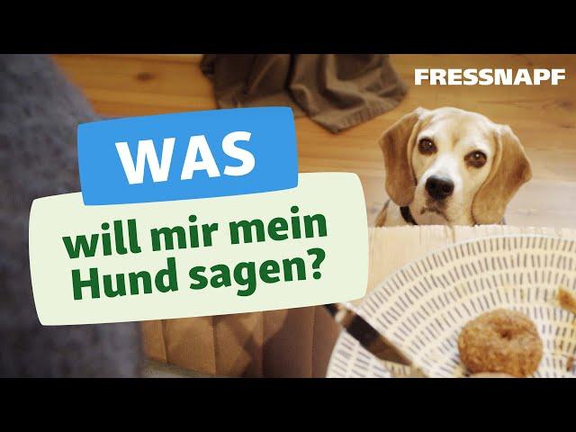 Körpersprache beim Hund - Hunde richtig verstehen