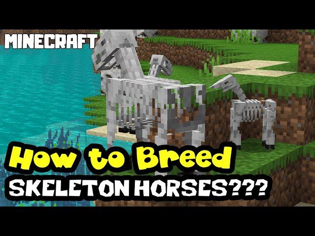 MINECRAFT | How to Breed SKELETON HORSES?