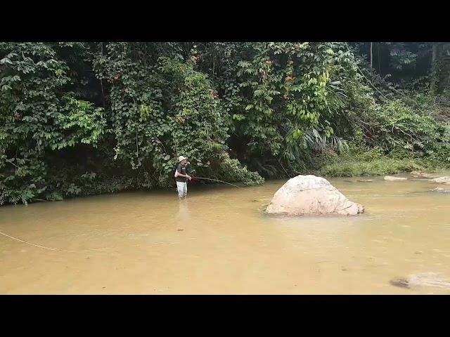 Malaysia Fly Fishing Sikang Sg Lepar