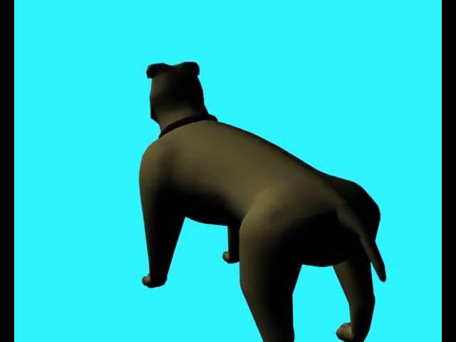 3D dog turn around