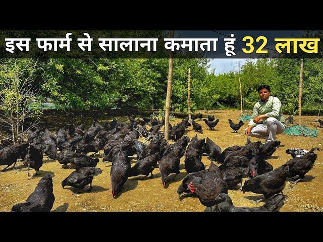 फलों के बाग में Free Range Desi Chicken Farming | Integrated Farming