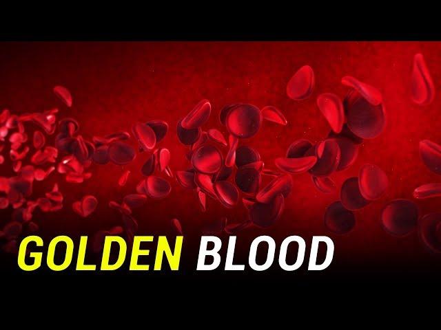 Rhnull: The Rarest Blood Type on Earth. #GoldenBlood