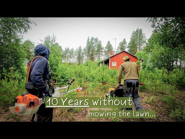 Completely Overgrown Yard Gets a FREE Makeover - TREES EVERYWHERE!