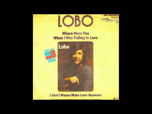 Where were you when I was falling in love / Lobo.