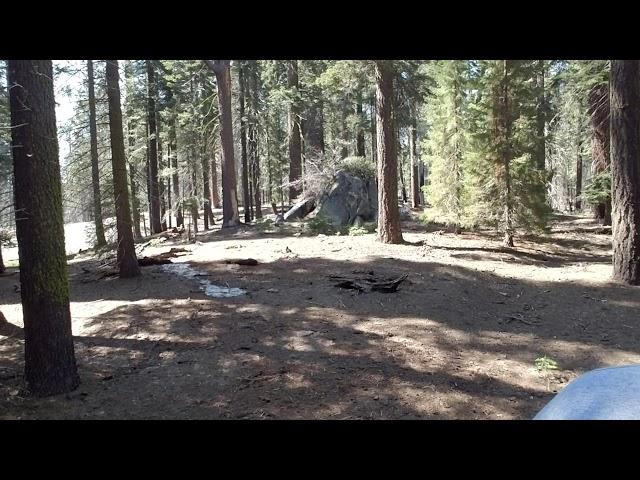 Giant Forest, Sequoia National Park