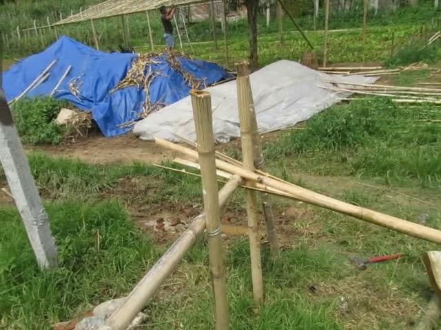 How to split Bamboo into 4 even pieces