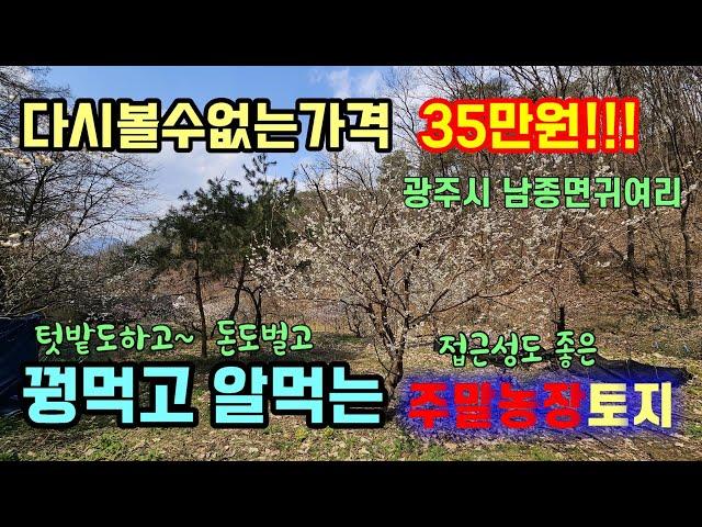 (매물번호317)광주시남종면귀여리 다시볼수 없는착한가격 평당35만원!! 접근성뛰어고 프라이빗한 주말농장토지/저렴한금액으로 매수할수있는 좋은기회!!!!