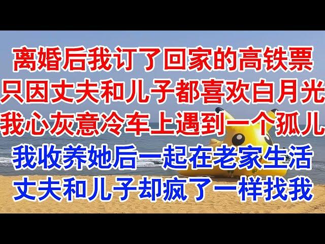 办完离婚手续的那天，我订了回老家的高铁票。手机、身份证、余额不多的银行卡，就是我这些年来的全部。#小说 #故事 #爱情故事 #情感 #情感故事 #亲情故事 #为人处世 #婚姻