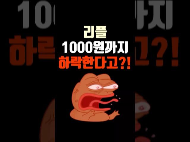 리플 1000원까지 하락한다고?! 결국엔 만원 간다! #리플 #리플만원 #리플3만원 #리플목표가 #리플소송