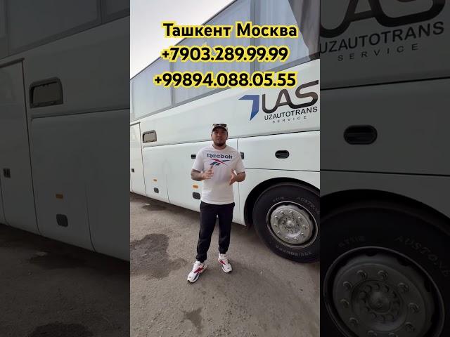 Ташкент Москва автобус #ташкент #москва #автобус #прямой #шошилинч #россия #янгиликлар #ютуб #шортс
