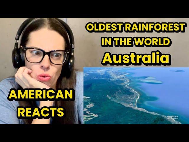 WHERE IS THE OLDEST RAINFOREST IN THE WORLD | AMERICAN REACTS