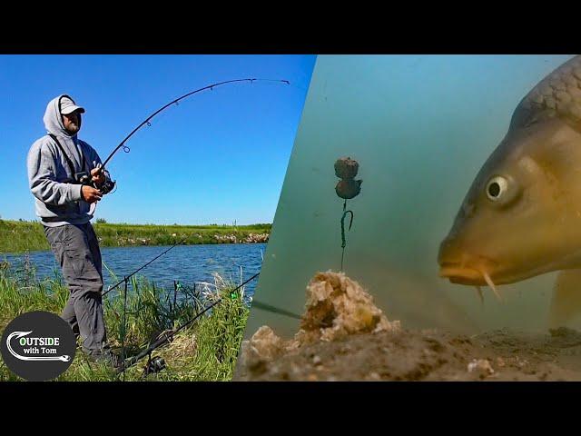 Pop Ups vs Bottom Baits Underwater Test (Wild Carp Fishing)