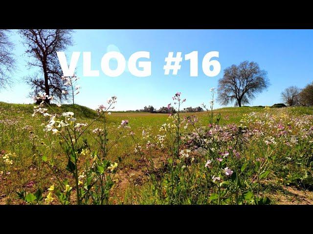 Dry Creek Trail| yard work| fajita casserole