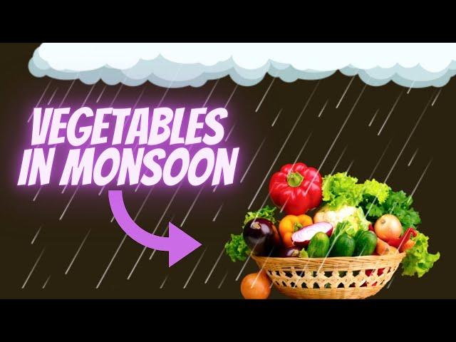 VEGETABLES IN MONSOON /WHICH VEGETABLES SHOULD GROW IN MONSOON SEASON