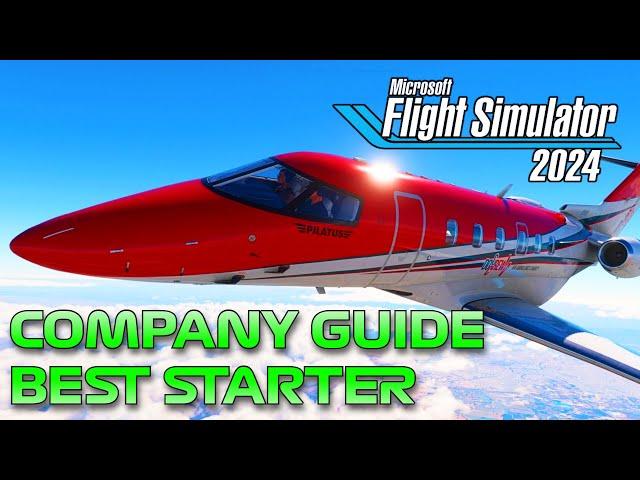 Best Starting Company? - How to Start Your Own Company - Microsoft Flight Sim 24