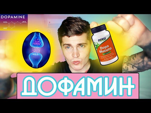 ДОФАМИН | ГАЙД ПО ДОФАМИНУ | КАК ПОЧУВСТВОВАТЬ ДОФАМИН? | МОТИВАЦИЯ И ПООЩРЕНИЕ 