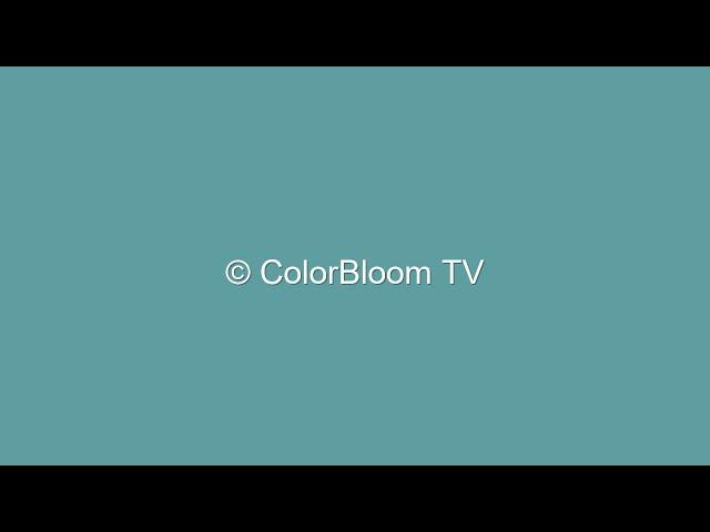 1 Hour of Soothing Cadetblue Screen | ASMR Visuals