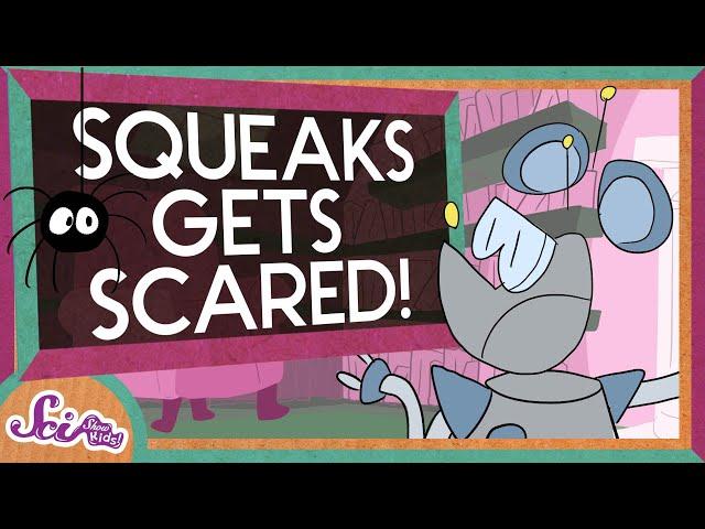 Squeaks Gets Scared! | SciShow Kids Compilation