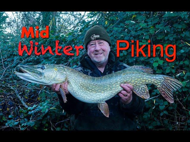 Mid Winter Piking