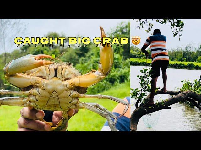 Catching mud crabs (Caught big one) GOA