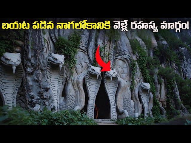 బయటపడిన నాగ లోకానికి వెళ్లే రహస్య మార్గం | Patala Lokam And Naagalokam | FN-20 Telugu