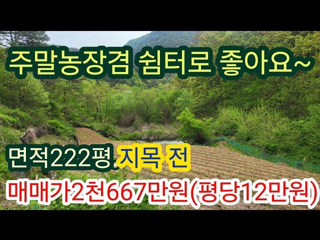 [4036] 성주땅 매매. 성주농지매매. 성주주말농장 매매. 성주군 용암면 죽전리(222평)(평당 12만원)[성주 부동산]