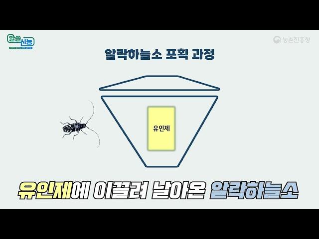 [강영호 성우샘플│홍보│홈쇼핑느낌│힘있게] 알쓸신농 8화 과수 해충 '알락하늘소' 대량 포획장치 개발~앗~싸!!