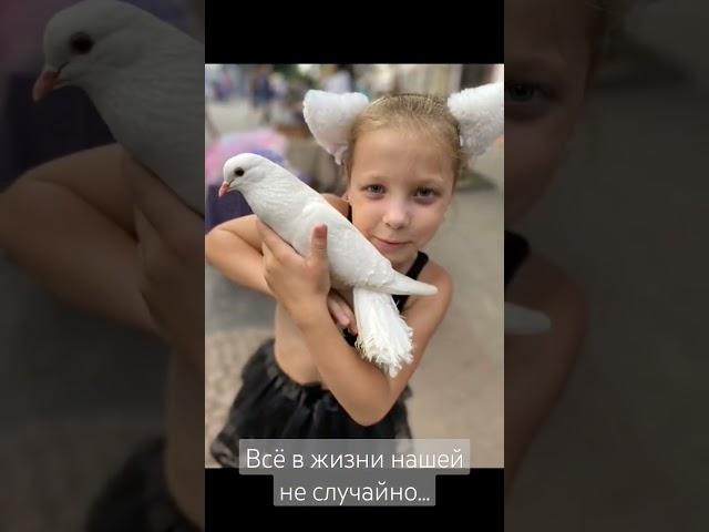 Всё в нашей жизни не случайно.