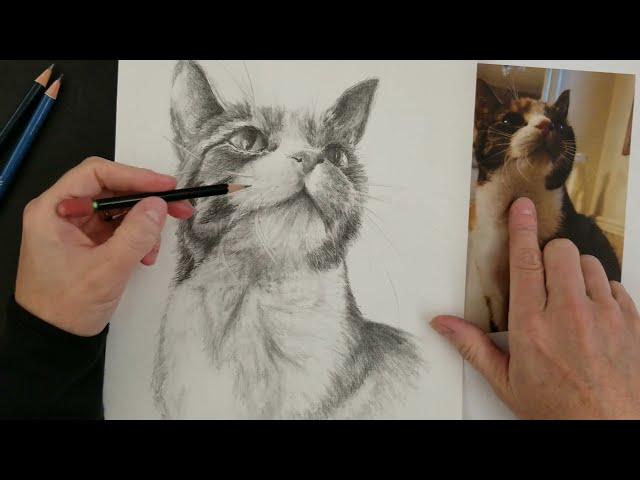 Easy Way- How to Draw Realistic Animal Whiskers