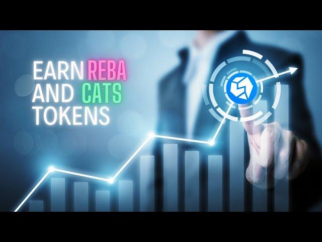 START FARMING CATS AND REBA TOKENS WITH STON.FI DEX