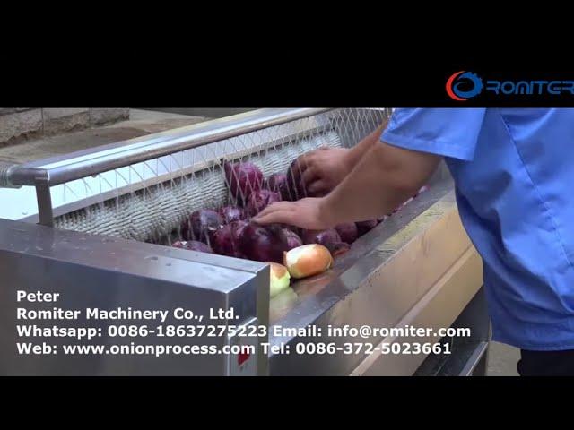 Automatic Brush Type Onion Washing Peeling Machine