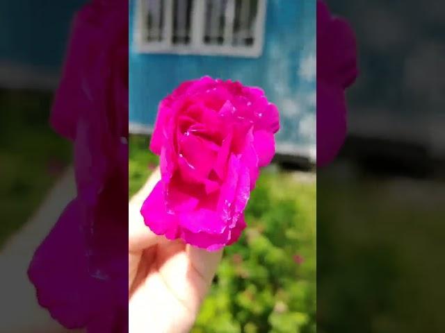 Просто доверься #правильныеслова #афоризмы #философия