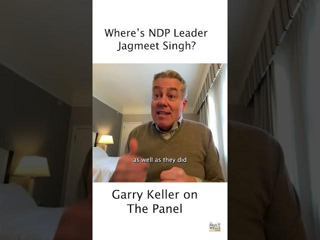 Garry Keller on The Panel - The Paul Wells Show Feb 28, 2025