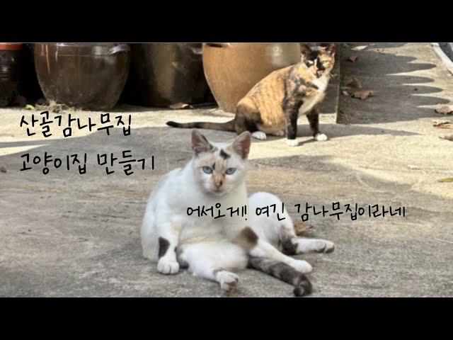 마운틴빌리지 고양E지구 분양기 - 산골감나무집에 새 고양이집이 생겼어요!