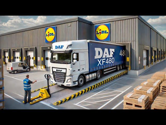 POV Truck Driving DAF XF 480 2025