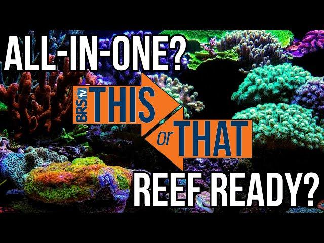 Reef Ready vs. AIO: What’s the Best Choice?