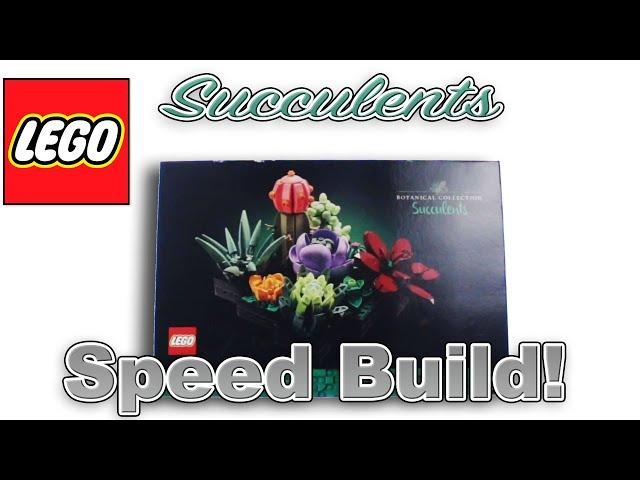 Speed Build & Review: LEGO Succulents | 10309