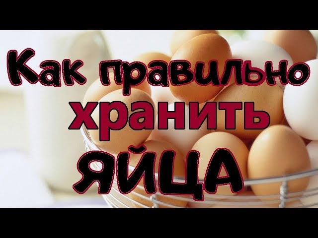 Сколько хранится яйцо в разных условиях. Научный обзор