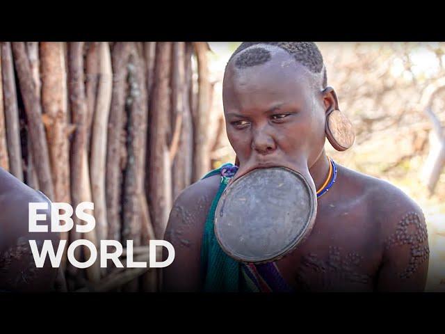 Lip-Plate Tribe The Mursi Tribe in EthiopiaㅣExploring the Origin of Humanity